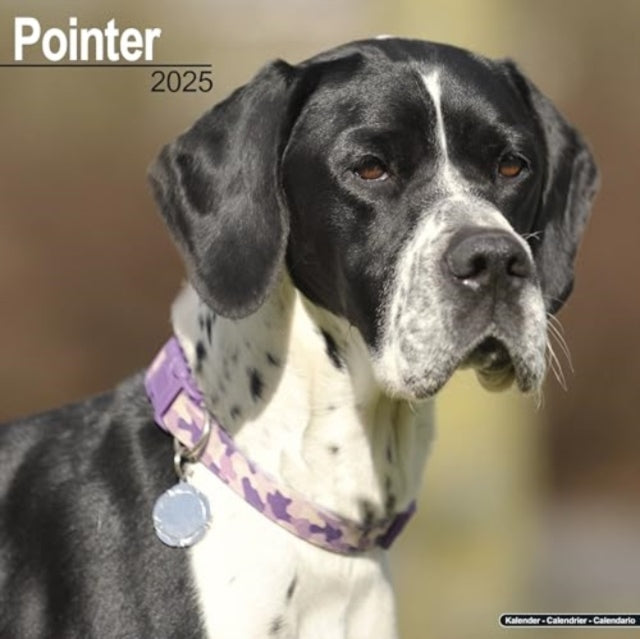 Pointer Calendar 2025 Square Dog Breed Wall Calendar - 16 Month-9781804603758