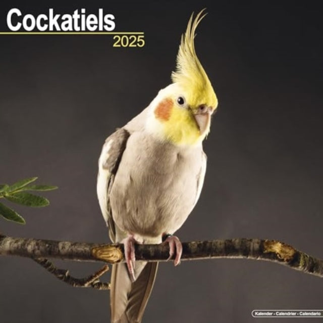 Cockatiels Calendar 2025 Square Bird Wall Calendar - 16 Month-9781804604144