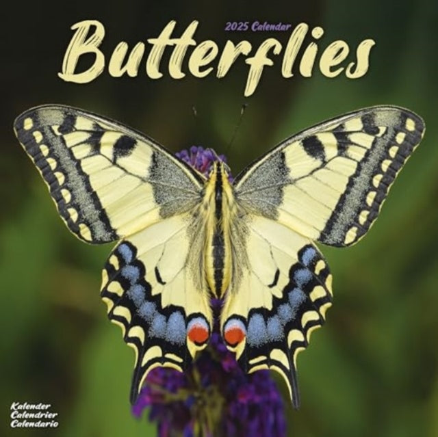 Butterflies Calendar 2025 Square Butterfly Wall Calendar - 16 Month-9781804604229