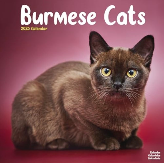 Cats - Burmese Calendar 2025 Square Cat Wall Calendar - 16 Month-9781804604250