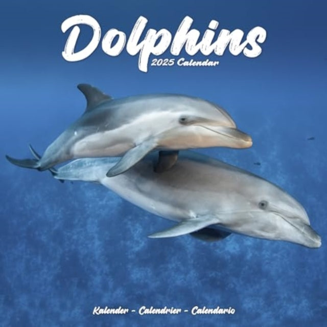 Dolphins Calendar 2025 Square Animal Wall Calendar - 16 Month-9781804604304