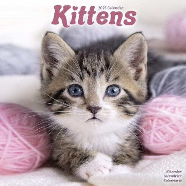 Kittens Calendar 2025 Square Cats Wall Calendar - 16 Month-9781804604397