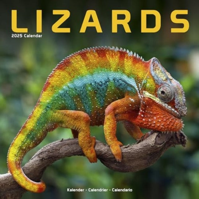 Lizards Calendar 2025 Square Animal Wall Calendar - 16 Month-9781804604403