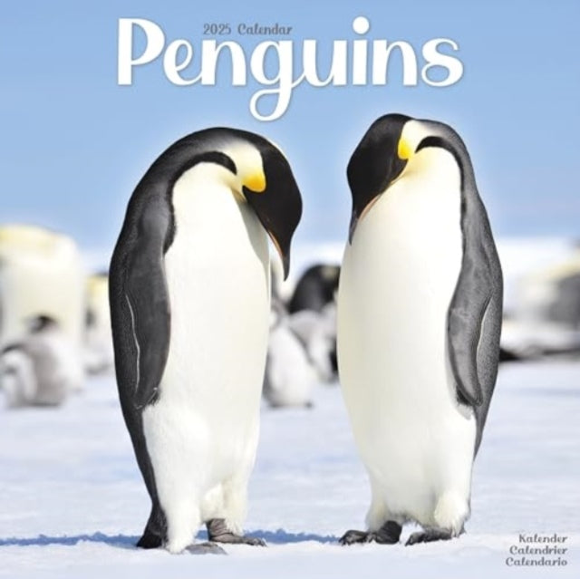 Penguins Calendar 2025 Square Animal Wall Calendar - 16 Month-9781804604441