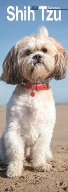 Shih Tzu Slim Calendar 2025-9781804605172