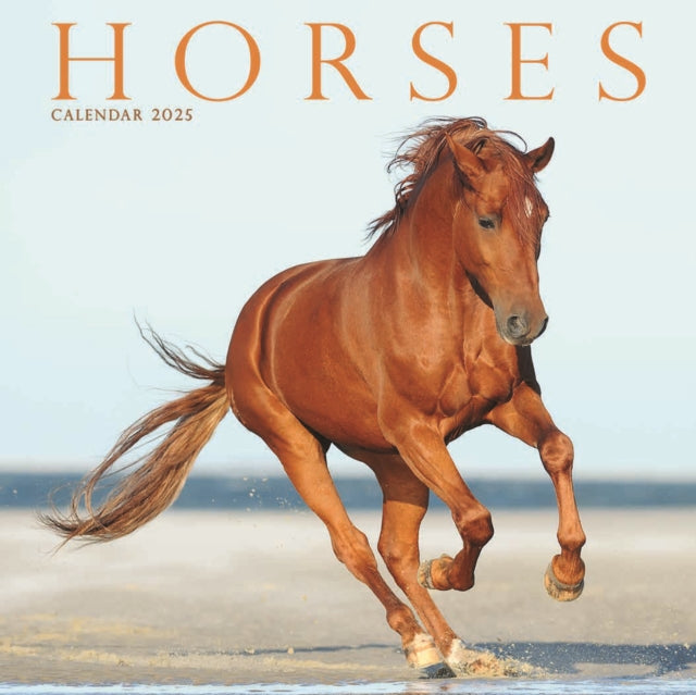 Horses Square Mini Calendar 2025-9781804605479