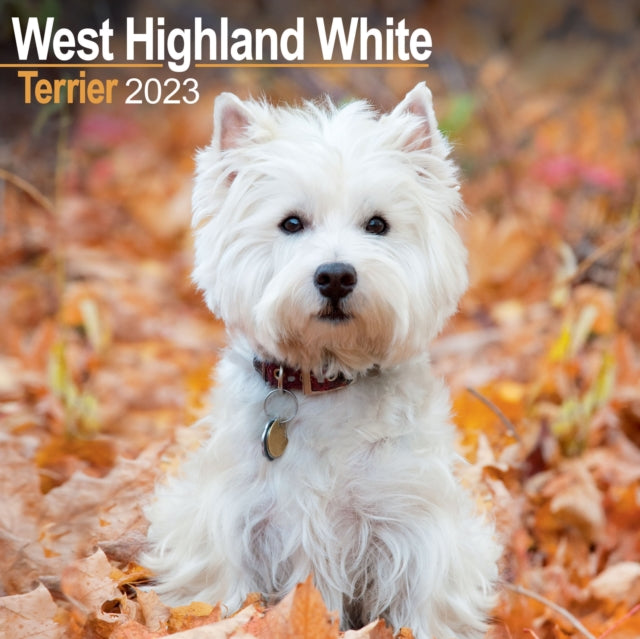 West Highland Terrier 2023 Wall Calendar-9781839417672