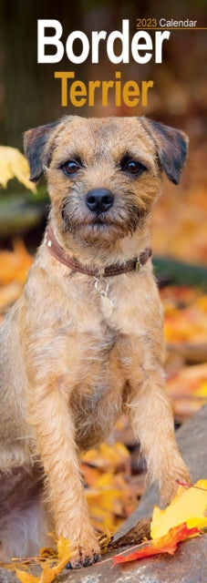 Border Terrier 2023 Slim Calendar-9781839418754