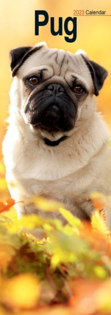 Pug 2023 Slim Calendar-9781839418907
