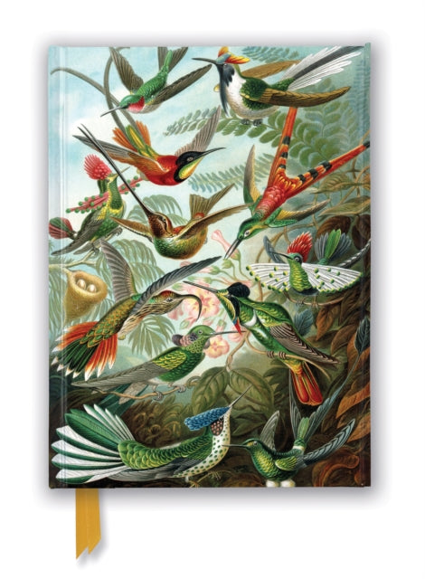 Ernst Haeckel: Hummingbirds (Foiled Journal)-9781839648953