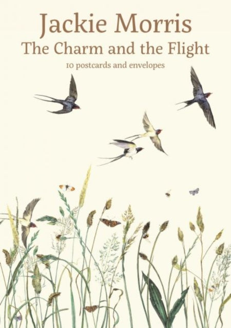 The Charm and the Flight Postcard Pack-9781912654567