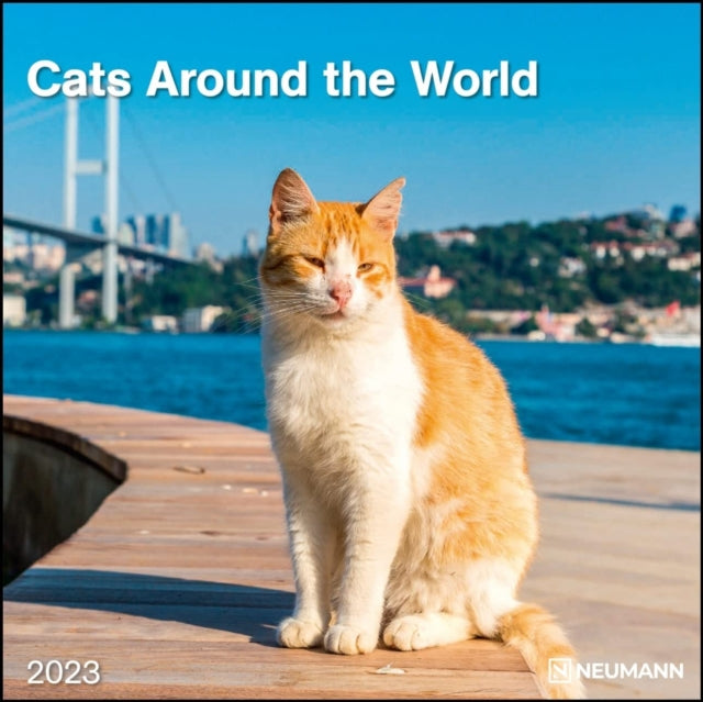 CATS AROUND THE WORLD GRID CALENDAR 2023-4002725985026