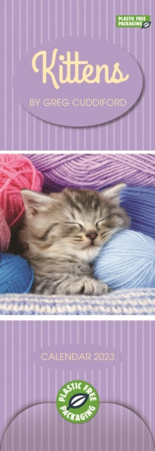 Kittens By Greg Cuddiford Slim Calendar 2023-5056308203990