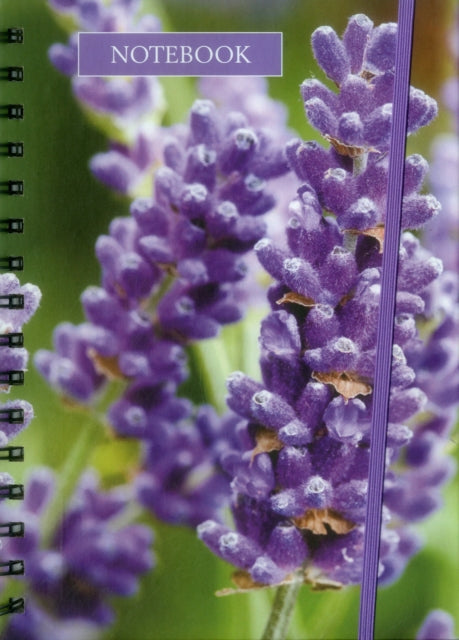 Notebook Lavender-9780754831624