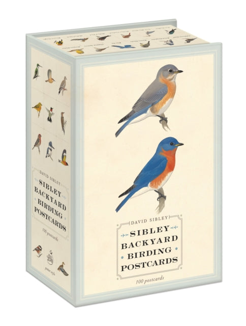 Sibley Backyard Birding Postcards : 100 Postcards-9780770433963