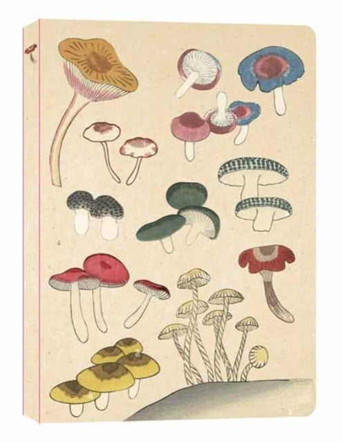 Healing Mushrooms Lined Paperback Journal : Blank Notebook with Pocket-9780804855662