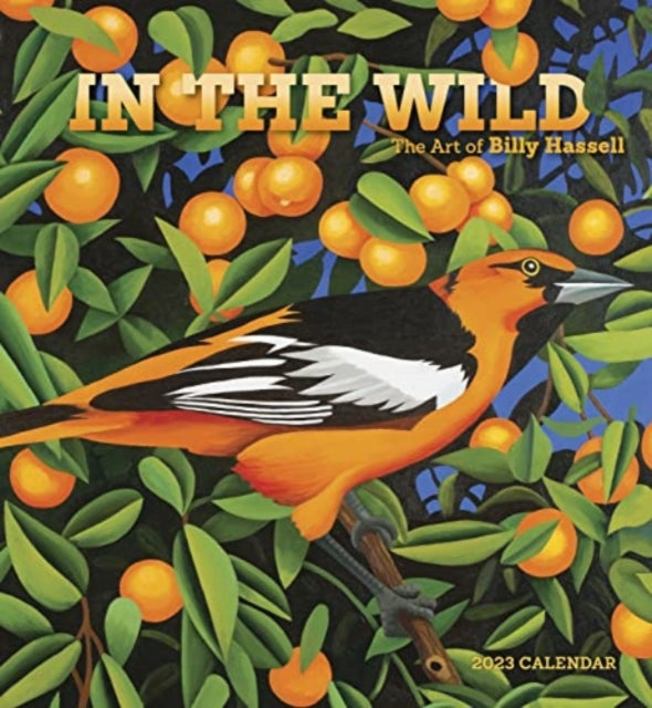 IN THE WILD THE ART OF BILLY HASSELL 202-9781087505121