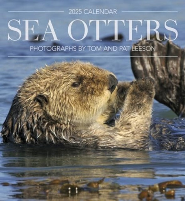 Sea Otters: Photographs by Tom and Pat Leeson 2025 Wall Calendar-9781087509563