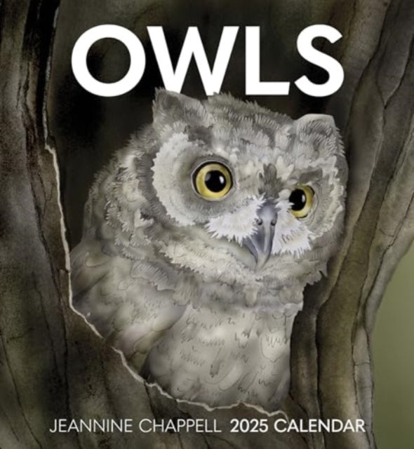 Owls: Jeannine Chappell 2025 Wall Calendar-9781087509594