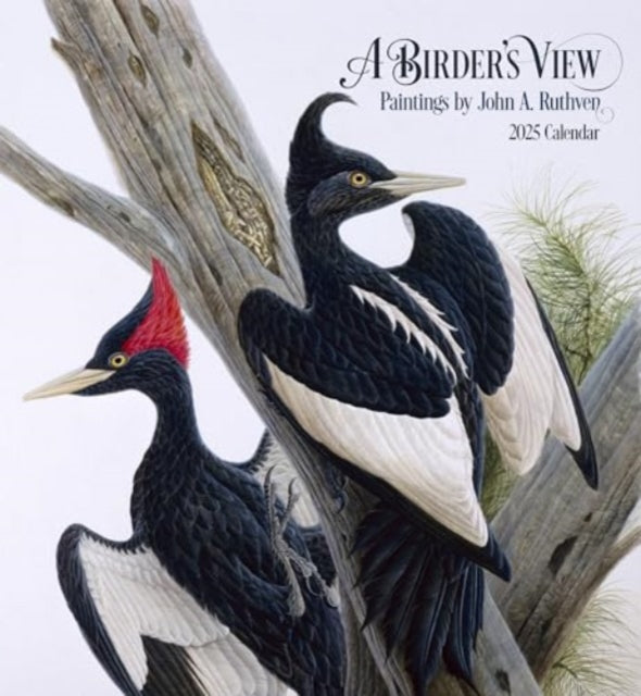 A Birder's View: Paintings by John A. Ruthven 2025 Wall Calendar-9781087509600
