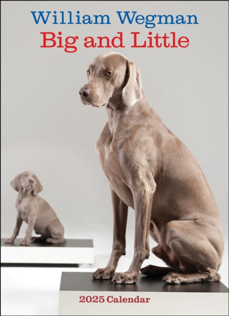 William Wegman Big and Little 2025 Wall Calendar-9781419774065