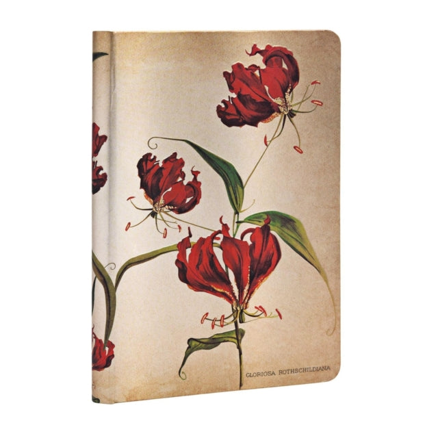 Gloriosa Lily-9781439735749