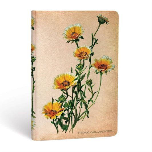 Woodland Daisies-9781439735756