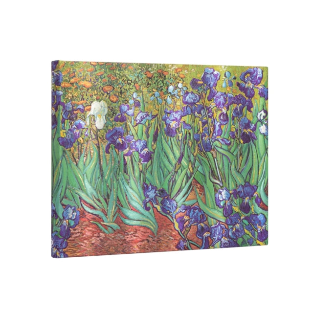 VAN GOGHS IRISES-9781439782071