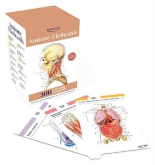 Anatomy Flashcards: 300 Flashcards with Anatomically Precise Drawings and Exhaustive Descriptions-9781506289717
