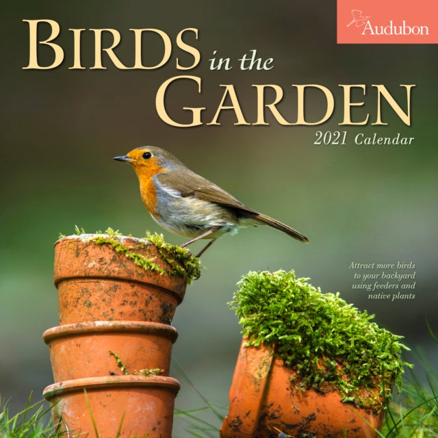 Audubon Birds In The Garden Wall Calendar 2021-9781523508709