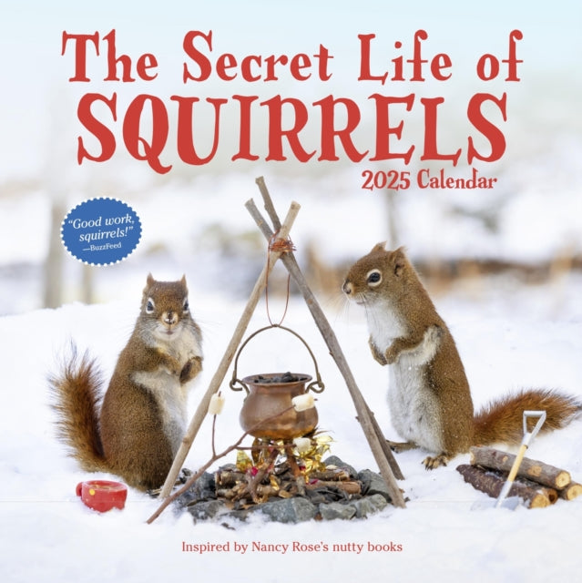 The Secret Life of Squirrels Wall Calendar 2025-9781523524518