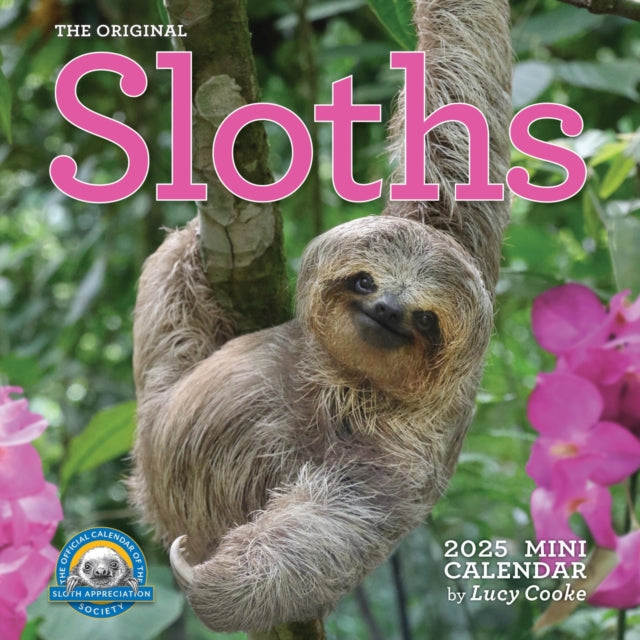 Original Sloths Mini Wall Calendar 2025 : Celebrate Life in the Slow Lane-9781523525478