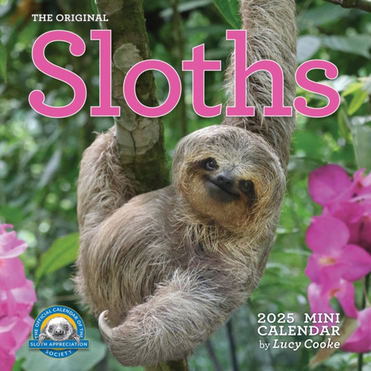 Original Sloths Mini Wall Calendar 2025 : Celebrate Life in the Slow Lane-9781523525478