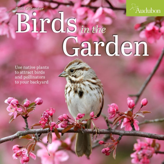 Audubon Birds in the Garden Wall Calendar 2025 : Use Native Plants to Attract Birds and Pollinators to Your Backyard-9781523526093