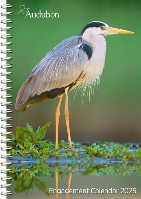 Audubon Engagement Calendar 2025 : A Tribute to the Wilderness and Its Spectacular Landscapes-9781523526123