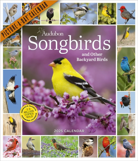 Audubon Songbirds and Other Backyard Birds Picture-A-Dayr Wall Calendar 2025-9781523526314