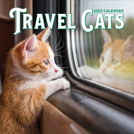 Travel Cats Wall Calendar 2025-9781523526437