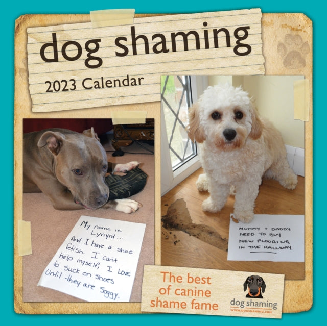 Dog Shaming 2023 Mini Wall Calendar-9781524872816