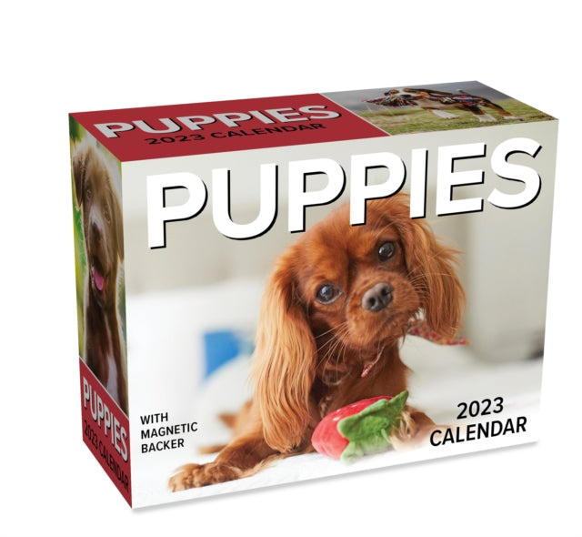 Puppies 2023 Mini Day-to-Day Calendar-9781524873011