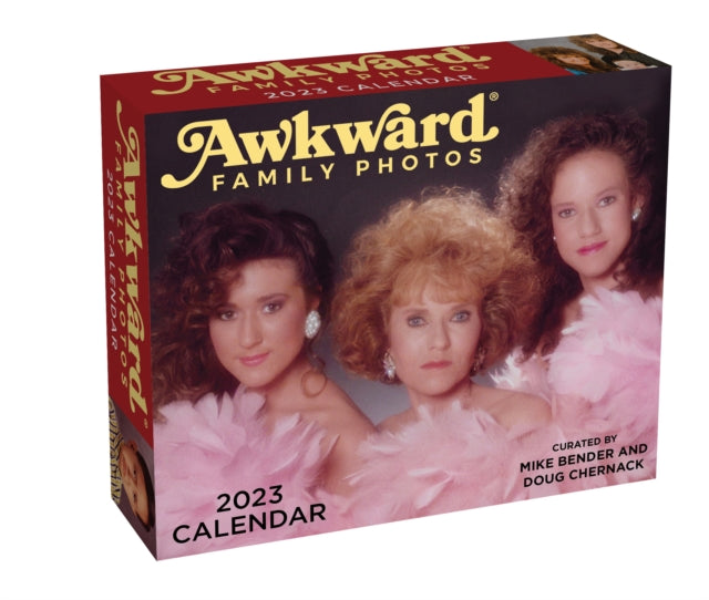 Awkward Family Photos 2023 Day-to-Day Calendar-9781524873585