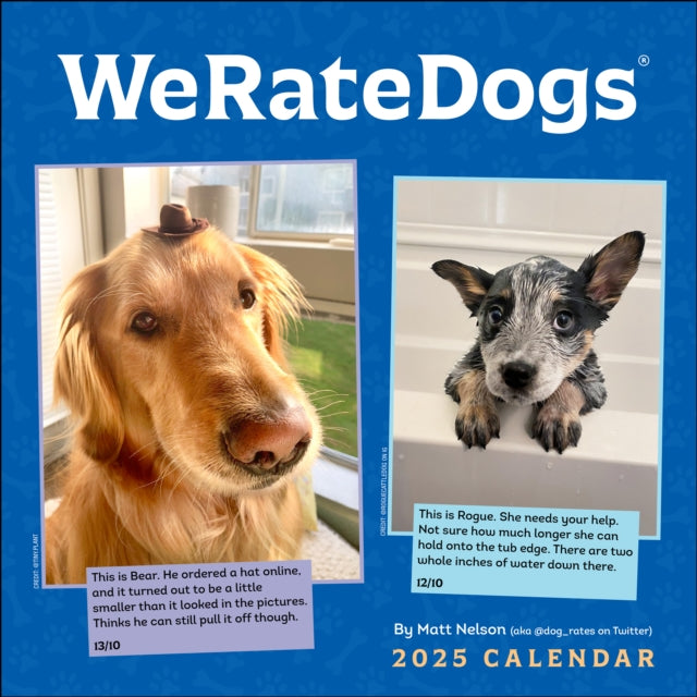 WeRateDogs 2025 Wall Calendar-9781524887018