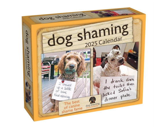 Dog Shaming 2025 Day-to-Day Calendar-9781524890766