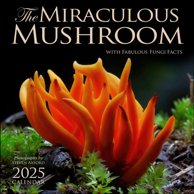 The Miraculous Mushroom 2025 Wall Calendar : With Fabulous Fungi Facts-9781524892111