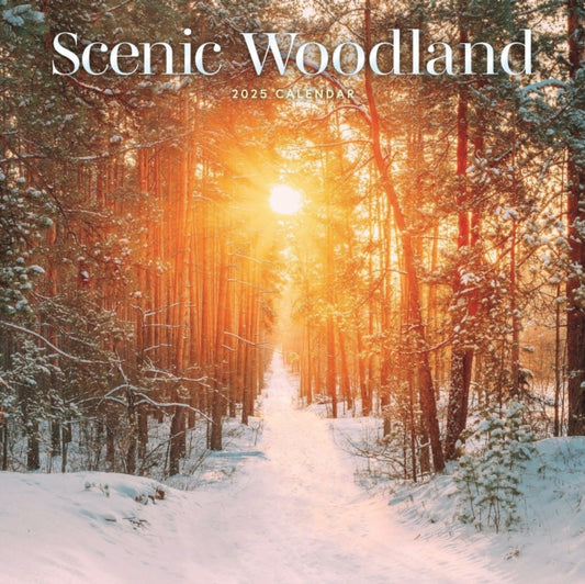 Scenic Woodland Square Wall Calendar 2025-9781529812213