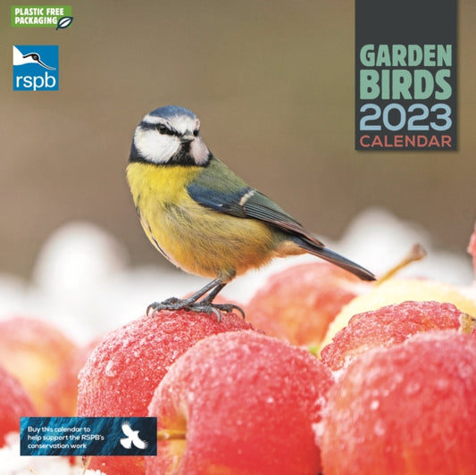 RSPB Garden Birds Square Wall Calendar 2023-9781529823592