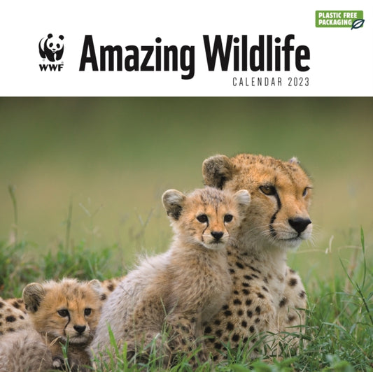 WWF Amazing Wildlife Square Wall Calendar 2023-9781529823677