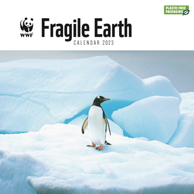 WWF Fragile Earth Square Wall Calendar 2023-9781529823684