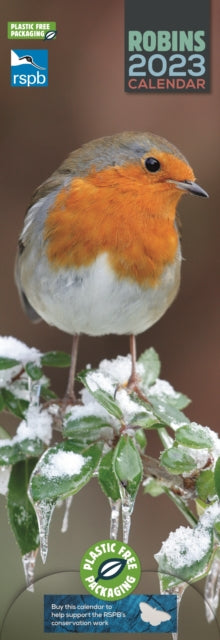 RSPB Robins Slim Calendar 2023-9781529824063