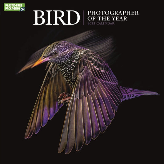 Bird Photographer Of The Year Square Wall Calendar 2023-9781529824247