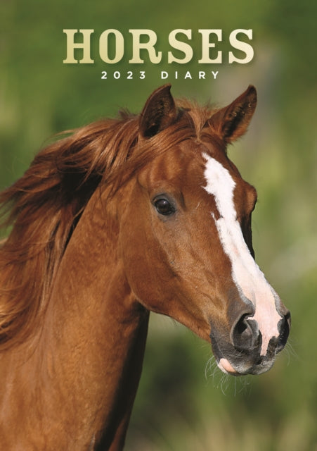 Horses A5 Diary 2023-9781529824698